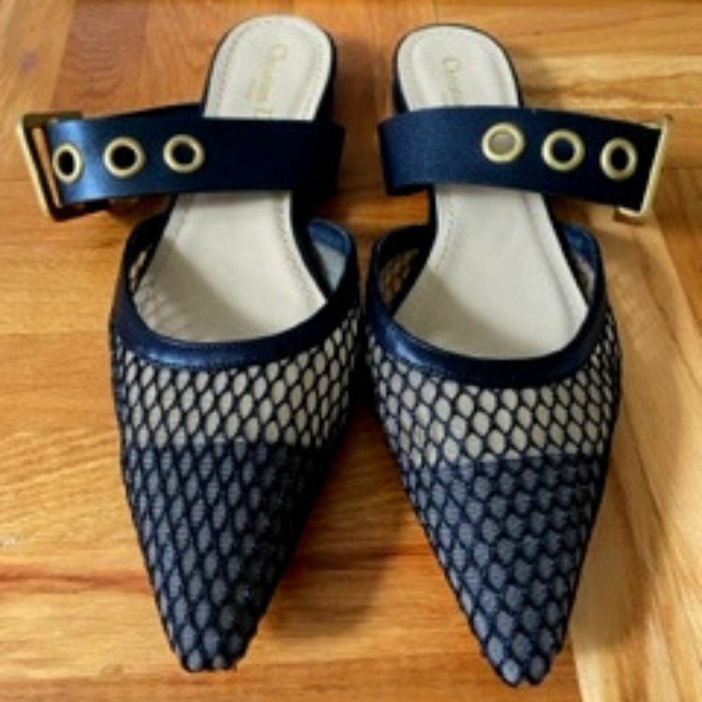 Dior Slides